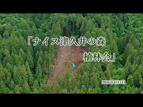 YouTube動画