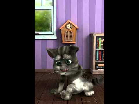 Talking Tom: Es hat so schön angefangen!-FreeYouVideo