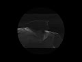 Teddy Swims Bad Dreams SLOWED REVERB