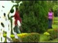 SINHALA SONG Obamage Mpg