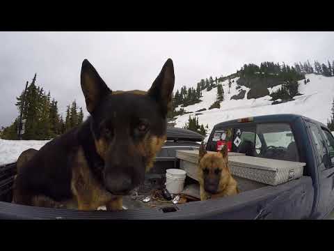 Slush Cup 2018 day 1