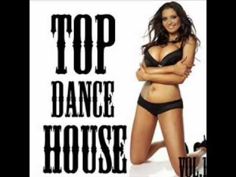 house & electro mix 2008-2009