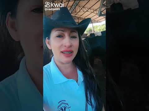 Dois vizinhos Paraná