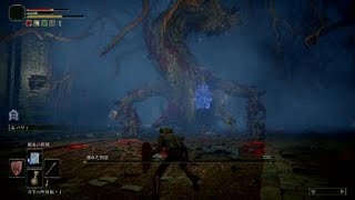 ELDEN RING_樹霊たおした
