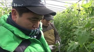 나는 농부다 81회 2부 - 현동씨내 으라차 찰토마토Ⅱ