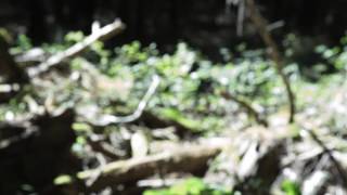 Back On My Feet (louis Baker Cover)