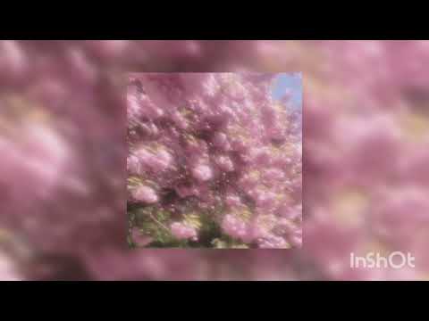 Milana khametva & Milana star/بدون موسيقى