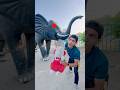 OMG Baby Born Elephant