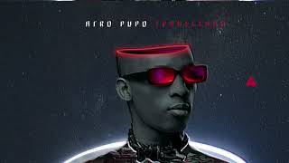 Afro Pupo ft. Miss Jeri - No Worries (Original Mix)