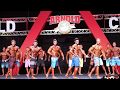 Arnold Classic Europe | When Dreams Come True | Armin Mahr