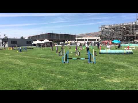 Tracy and Quimblee - Masters Challenge Jumpers (16") - 2015-05-30