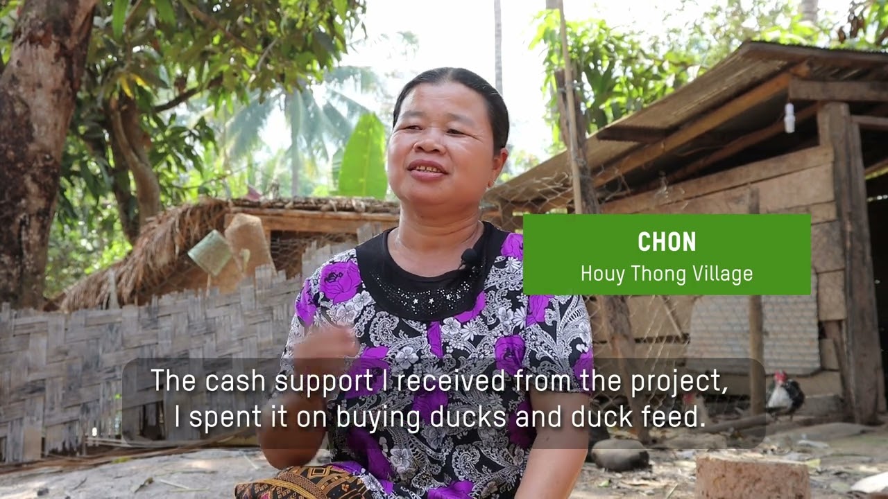 Livelihoods programme in Lao PDR