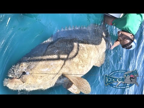 Most Popular Youtubers Fishing Videos - Fisherman Catching Big Fish Grouper - Most Subs Fishing