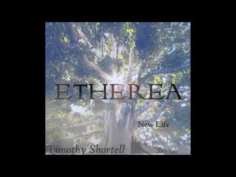 Timothy Shortell - New Life [Etherea]