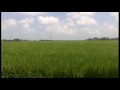 WILDAN Dipusara Bonda PL