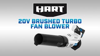 20V 315 CFM Cordless Blower Kit