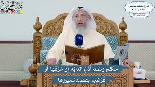 5118- حكم وَسْمِ أُذُنِ الدابّة أو خَرْقِها أو قَرْضِها بقصد تمييزها - عثمان الخميس