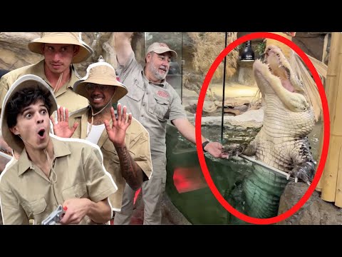 Zoo Keepers For A Day! 🤣 🐊