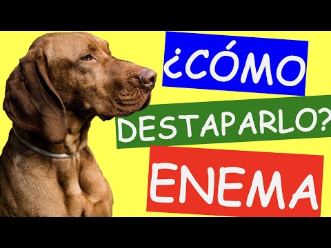EL MEJOR LAXANTE para Estreñimiento y ENEMA en Perros