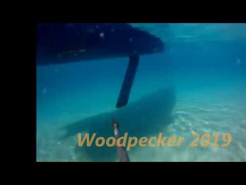 Sailing Woodpecker 2019 - Adriatic Sea