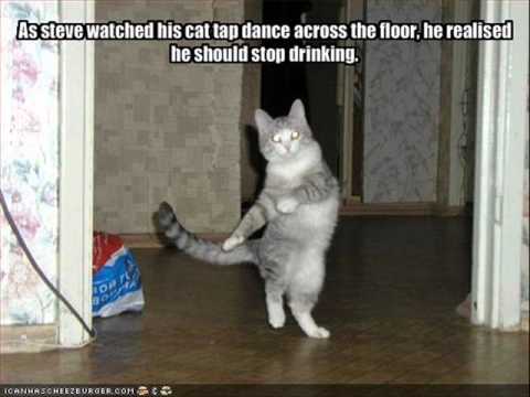 CRW Feat. Veronika -, Like A Cat (Noisy Vocal Mix)