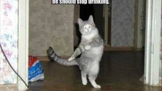 CRW Feat. Veronika -, Like A Cat (Noisy Vocal Mix)