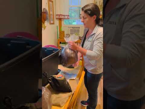 Uncle Jim’s Worm Unboxing Future Maine Vermiculture Farm