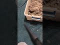 Bissell And Dirt Devil