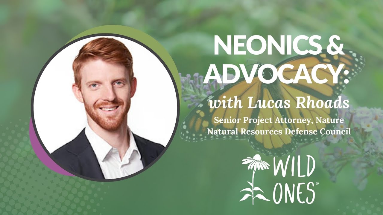 Neonics & Advocacy: Protecting Pollinators and Influencing Policy