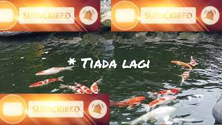 Download lagu kumpulan lagu lawasan jadul, kisah seorang pramuria dll mp3 Download lagu kumpulan lagu lawasan jadul, kisah seorang pramuria dll mp3