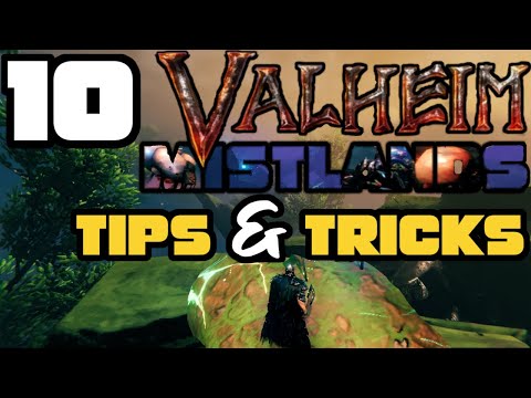10 Tips to SURVIVE the Mistlands Valheim!