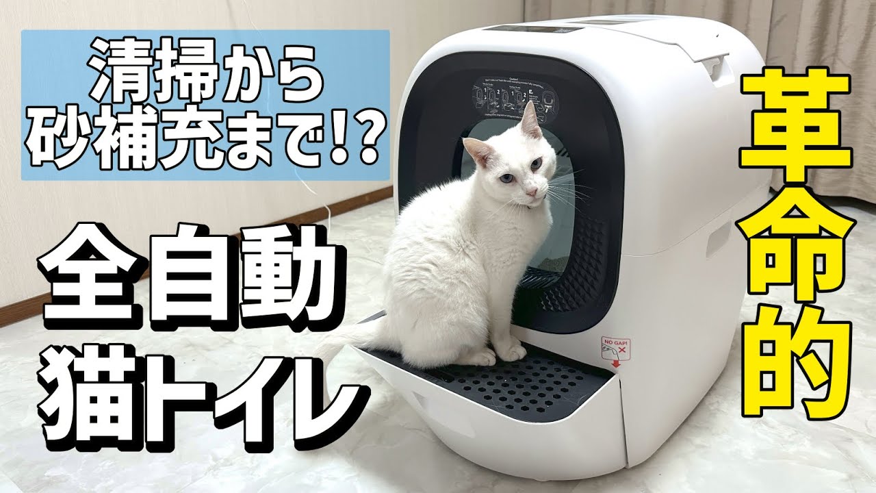 【革命的】自動で砂補充＆清掃！最新の猫トイレ RealScooper を試してみた！