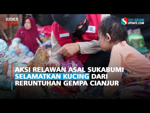 Aksi Relawan Asal Sukabumi Selamatkan Kucing dari Reruntuhan Gempa Cianjur