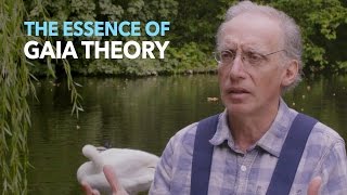 The Essence of Gaia Theory with Dr Stephan Harding