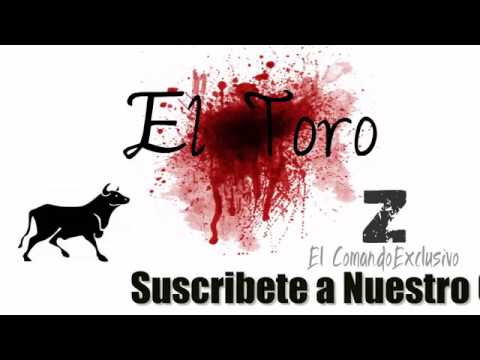 El Toro ¨Z¨  Irving Foster *.*