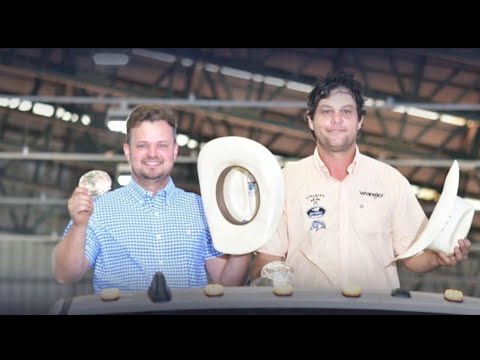 TEAM ROPING  2023 REVOLUTION • LAÇADAS • GUILHERME BERNAL • LAÇO EM DUPLA