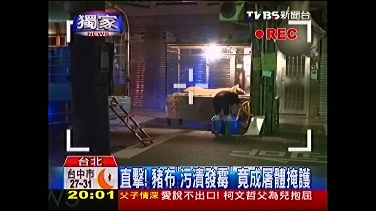 〈獨家〉溫體豬問題豬? 直擊屠體置8小時才賣