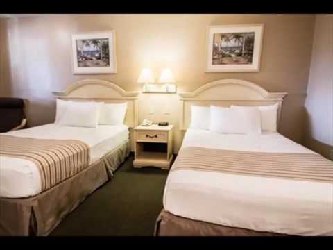 Rodeway Inn Apopka | Stay Good Hotel In Orlando | Pics Guide About The Hotel