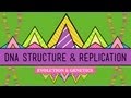 Documentary Science - Crash Course - Biology - DNA Structure and Replication