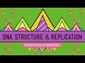 DNA Structure and Replication: Crash Course ...