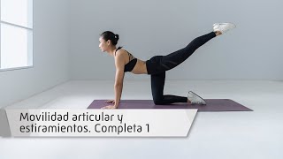 Movilidad articular y estiramientos Movilidad articular y estiramientos
