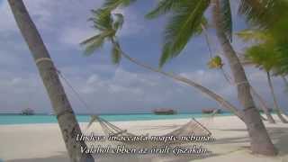 Thinking Of You - Chris Rea - romana - magyar fordítás