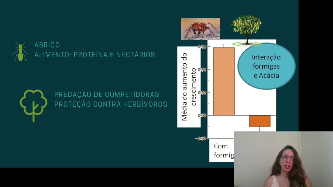 Ecologia: Mutualismo, Comensalismo e Amensalismo