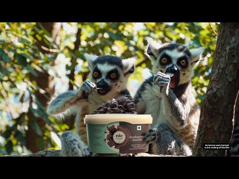 NIC Madagascar Chocolate |  The Origin Story