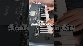Download lagu Korg Pa 600 QT tes scale E, As dan Cis mp3
