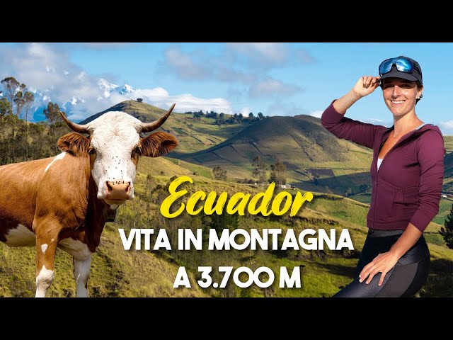 VITA DI MONTAGNA e LAVORO COMUNITARIO in un villaggio andino a 3700 m