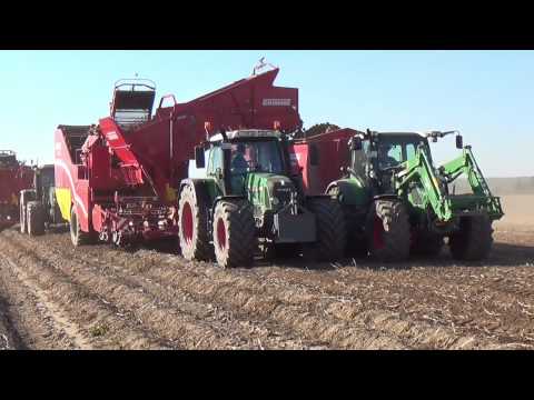 Am 29.09.2013 war in Kamp-Lintfort Kartoffel Ernte angesagt