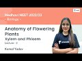 Anatomy Of Flowering Plants Xylem And Phloem L2 NEET 2022 23 Komal Yadav