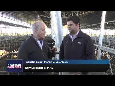 REALIDAD GANADERA - Agustin Lalor