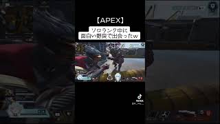 【APEX】面白い野良に出会う